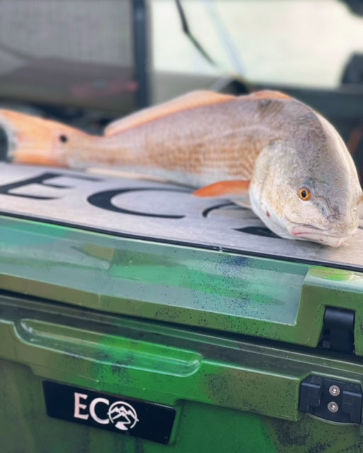 45 Quart Camo Coolers