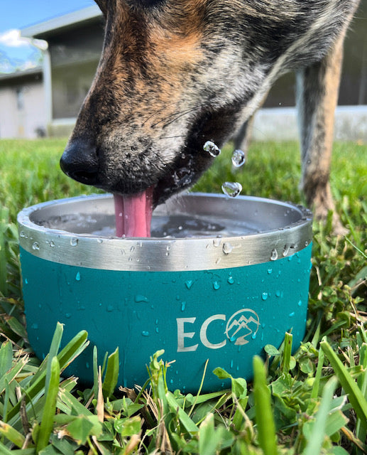 Pet Bowl 64oz