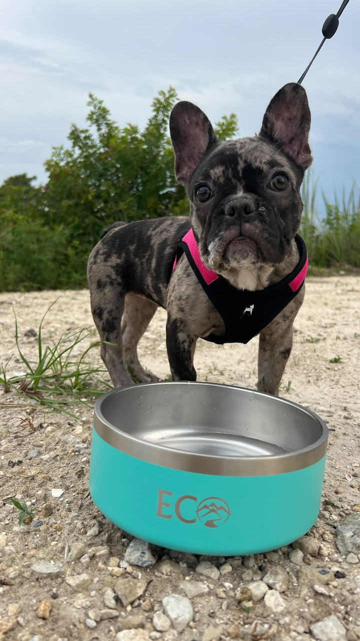Pet Bowl 42oz